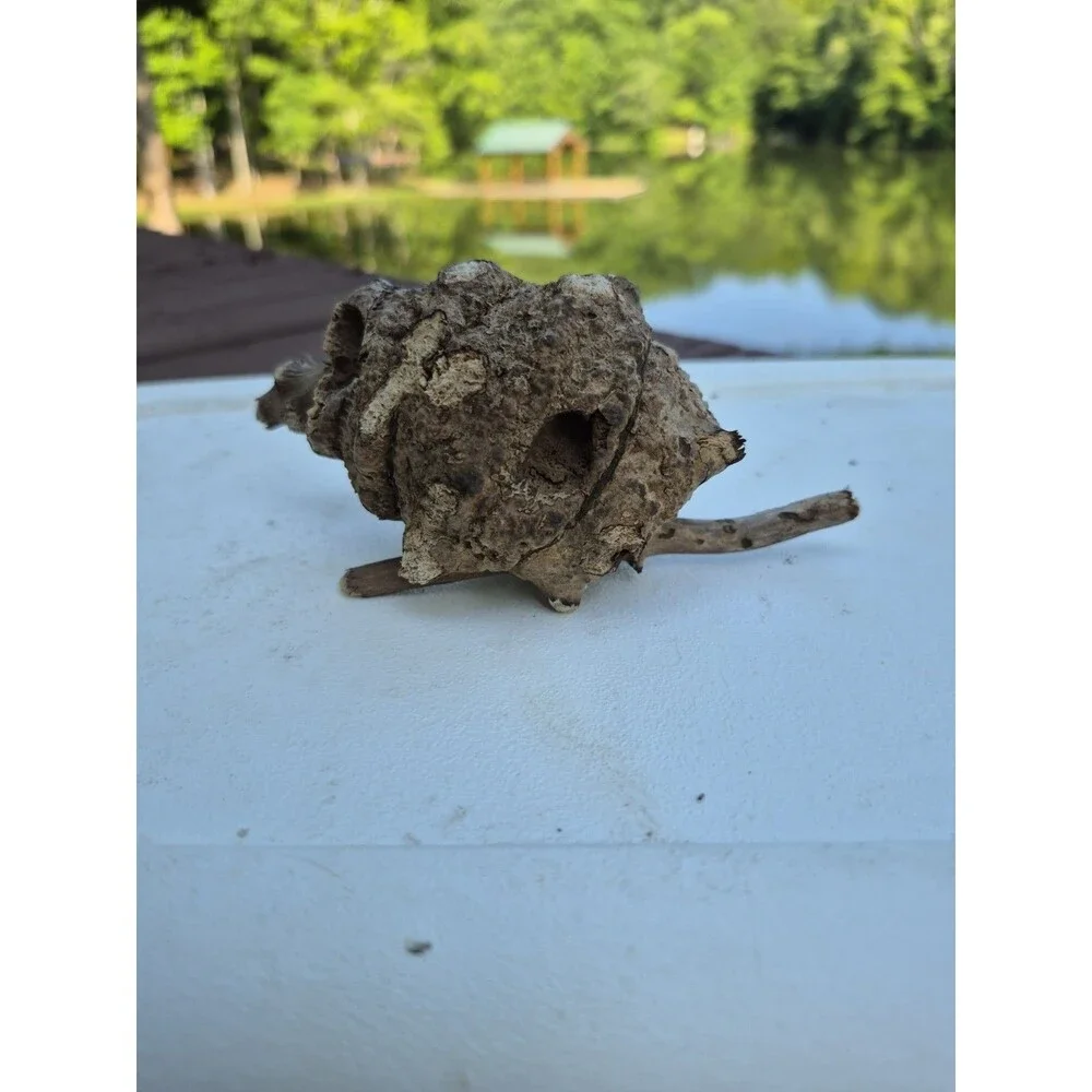 Driftwood Aquarium Supplies  Wood Art Mixed Media  Conversation Piece 8 Pcs.